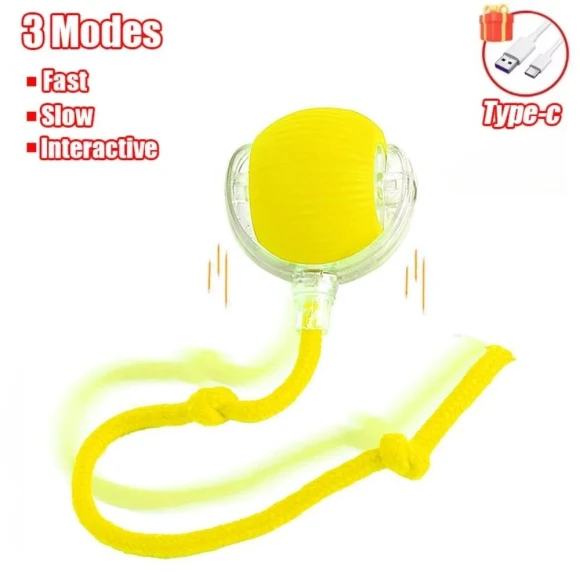 Interactive Rolling Ball Toy — Balls, Pet World Home