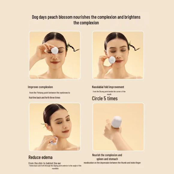 Smart Portable Moxibustion Device — Thermal Comfort Solutions, Breo