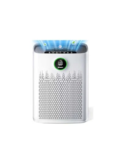 Air Purifier for Large Rooms — Activated Carbon Air Purifiers, ECOSELF