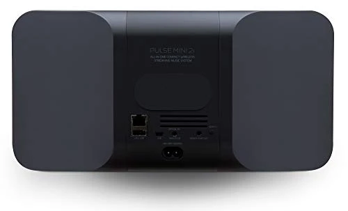 Compact Wireless Multi-Room Smart Speaker — Portable Audio, Bluesound