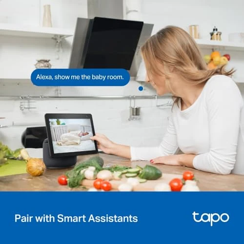 Indoor/Outdoor Pan/Tilt Wired Security Camera — Dome Surveillance Cameras, Tapo