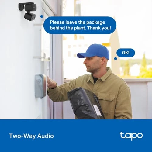Indoor/Outdoor Pan/Tilt Wired Security Camera — Dome Surveillance Cameras, Tapo