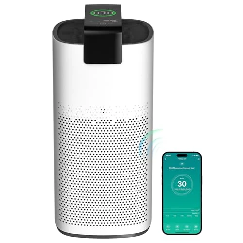 Large Room Air Purifier with PM 2.5 Sensor and HEPA Filter — Activated Carbon Air Purifiers, MERONTE