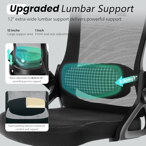 Ergonomic Office Chair with Adjustable Lumbar Support and Headrest — Desk Chairs, Fizzin