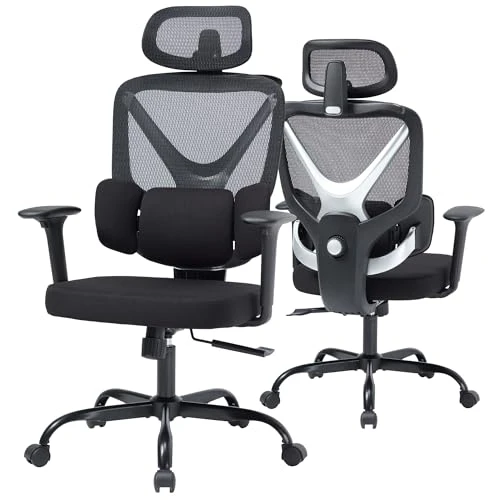 High Back Mesh Ergonomic Desk Chair — Desk Chairs, SweetGate