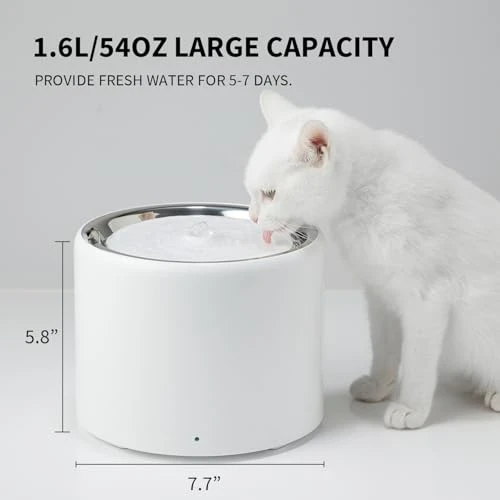 Cat Water Fountain with Wireless Pump — Fountains, PETKIT