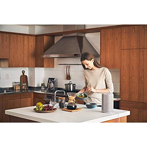 360 Reality Audio Wi-Fi/Bluetooth Wireless Speaker — Portable Audio, Sony