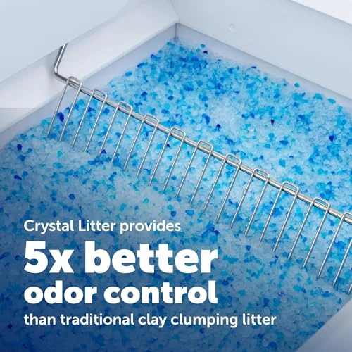 Self-Cleaning Cat Litter Box System with Enclosed Front-Entry — Waste Bins, PetSafe