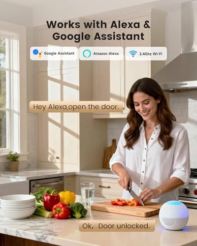 Smart Deadbolt Lock with Fingerprint and Keypad — Deadbolts, Lockzo