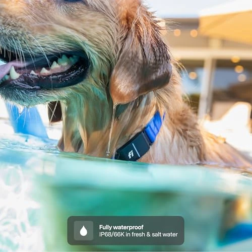 Smart Dog Tracker Collar — Trackers, Fi