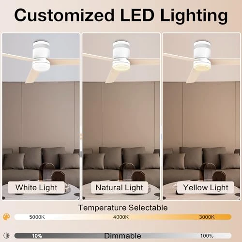 Smart Flush Mount Ceiling Fan with Lights — Ceiling Fans, Lorpies