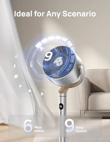Smart Pedestal Fan with RGB Light — Stand Fans, Dreo