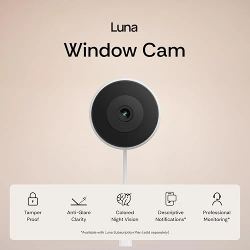Window Camera — Dome Surveillance Cameras, Luna Home