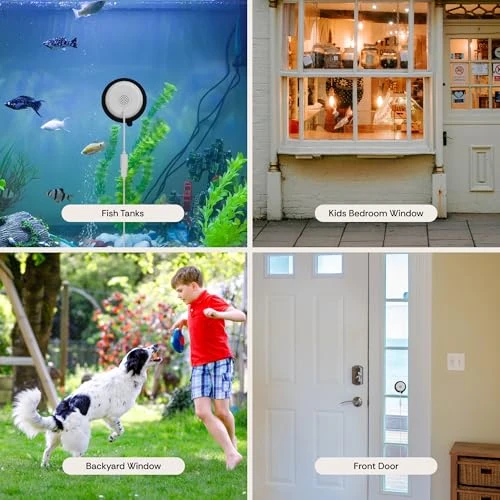 Window Camera — Dome Surveillance Cameras, Luna Home