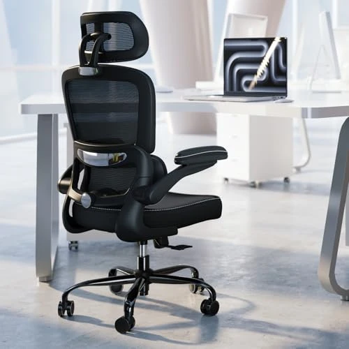 Ergonomic Office Chair with Adjustable Headrest and Lumbar Support — Desk Chairs, TRALT