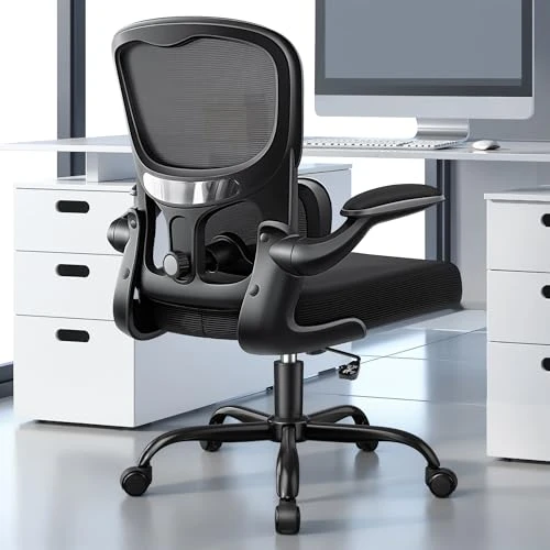 Ergonomic Office Chair — Desk Chairs, ALLGOD