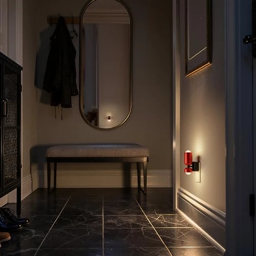 Night Light with Dusk-to-Dawn Sensor and Adjustable Brightness — Night Lights, Briignite