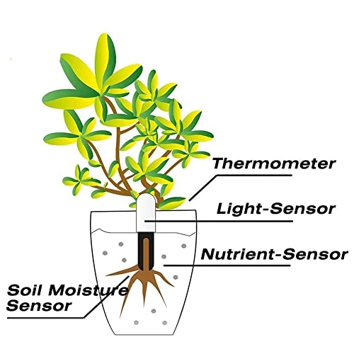 Plant Water Monitor — Moisture Detection Tools, Sinbeda