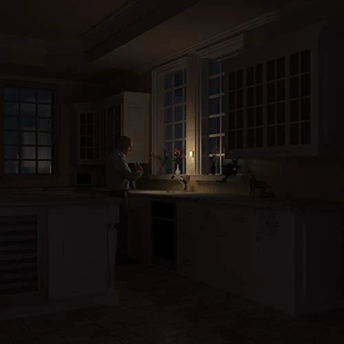 Plug-in Motion Sensor Night Light — Night Lights, MAZ-TEK