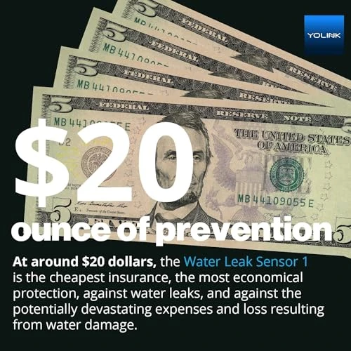 Smart Home Starter Kit with SpeakerHub and Water Leak Sensors — Water Leak Detection Systems, YoLink