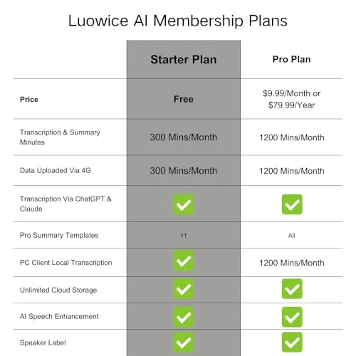 Voice Recorder with AI Transcription and Summarization — Voice Recognition & Productivity Software, Luowice