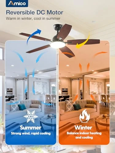 Ceiling Fan with Lights — Ceiling Fans & Accessories, Amico