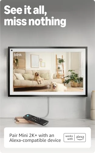 Home & Pet Security Camera — Cameras & Monitors, Blink