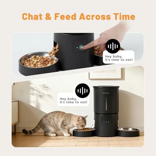 Automatic Cat Feeder with Dual Bowls — Smart Pet Feeders, Miaosical