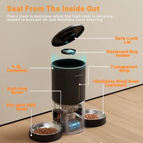 Automatic Cat Feeder with Dual Bowls — Smart Pet Feeders, Miaosical