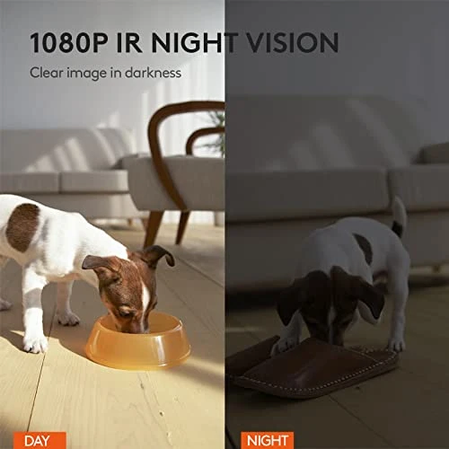 Movable Companion Robot for Pets — Cameras & Monitors, OBEXX MORE THAN FUTURE