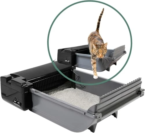 Semi Self Cleaning Cat Litter Box — Self-Cleaning, Pet Zone