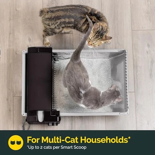 Semi Self Cleaning Cat Litter Box — Self-Cleaning, Pet Zone