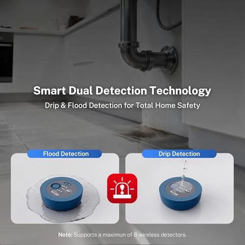Smart Leak Shut-Off System with Dual Sensors — Water Leak Detection Systems, iSpring