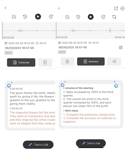 Voice Recorder with AI Transcription and Summarization — Voice Recognition & Productivity Software, THTE