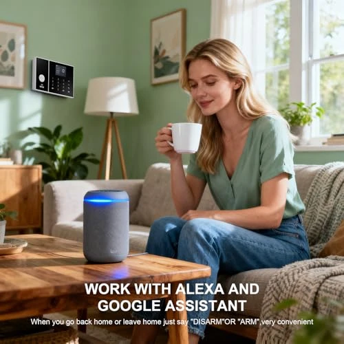 Alarm System for Home Security — Smart Home Security, LWOHSI