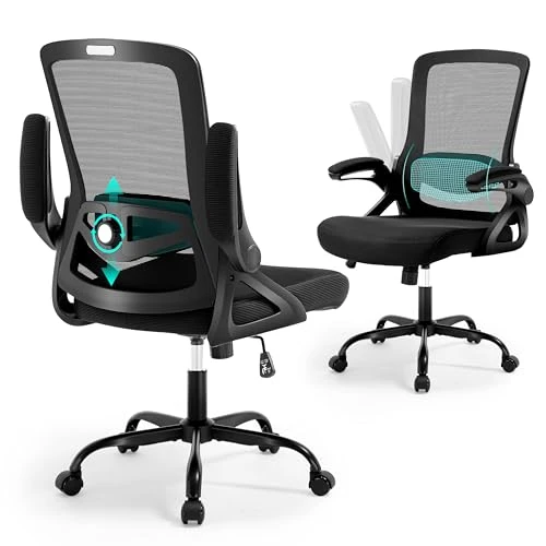 Ergonomic Office Chair with Adjustable Lumbar Support and Breathable Mesh — Desk Chairs, Nexthro