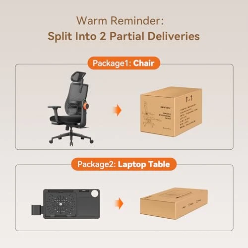 Ergonomic Office Chair with Laptop Tray — Desk Chairs, NEWTRAL