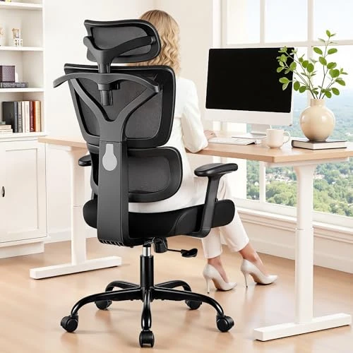 Ergonomic Office Chair — Desk Chairs, ALLGOD