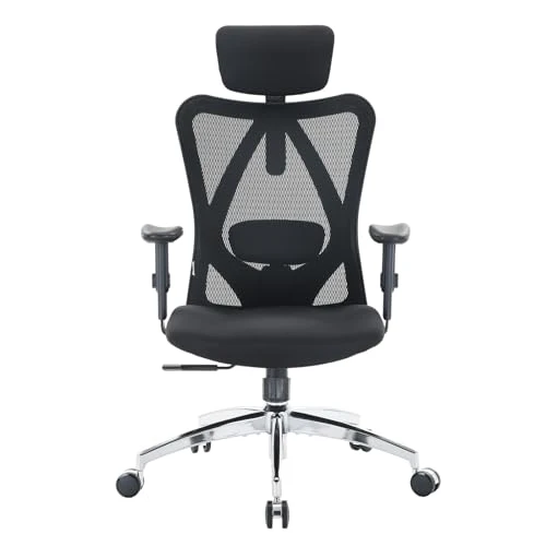 Ergonomic Office Chair — Desk Chairs, SIHOO