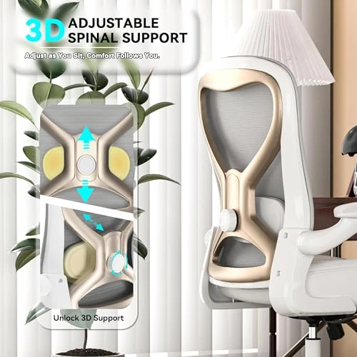 Office Desk Chair with Ergonomic Lumbar Support — Desk Chairs, CASASIO