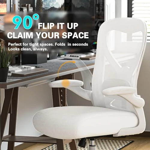 Office Desk Chair with Ergonomic Lumbar Support — Desk Chairs, CASASIO