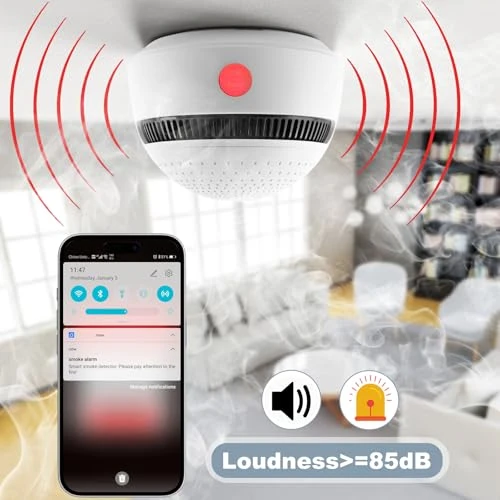 Smart Smoke Detector with 10-Year Battery — Smoke & CO Detectors, Soewolit