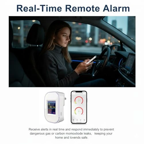 WiFi Carbon Monoxide and Natural Gas Detector Plug-in — Gas & CO Detectors, tulilut