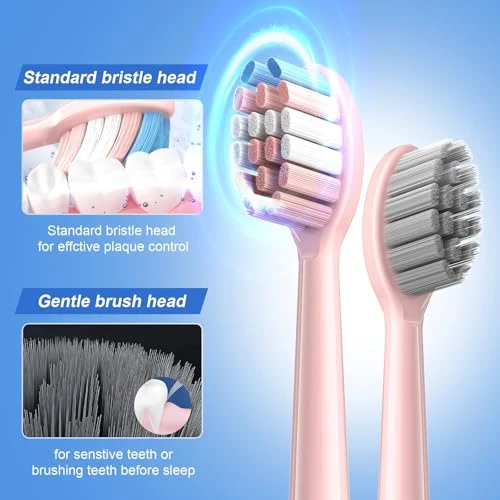 Sonic Electric Toothbrush — Sonic Electric Toothbrushes, JTF