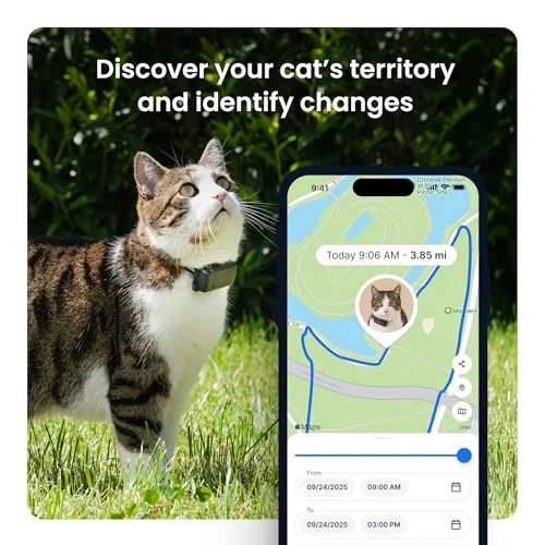 Smart Dog GPS Tracker — Trackers, Tractive