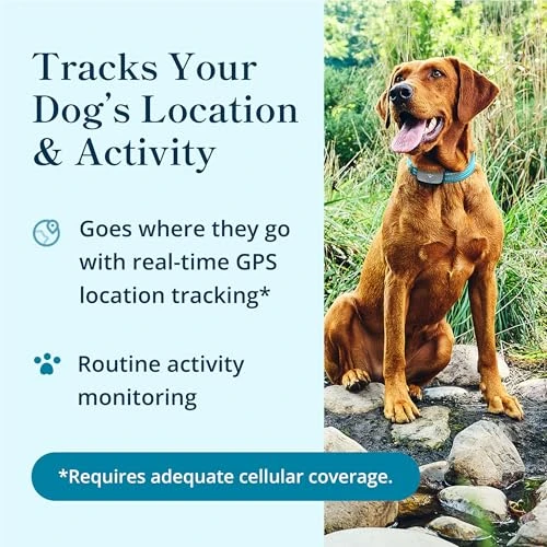 Smart GPS and Activity Pet Tracker for Dogs — Trackers, Petivity