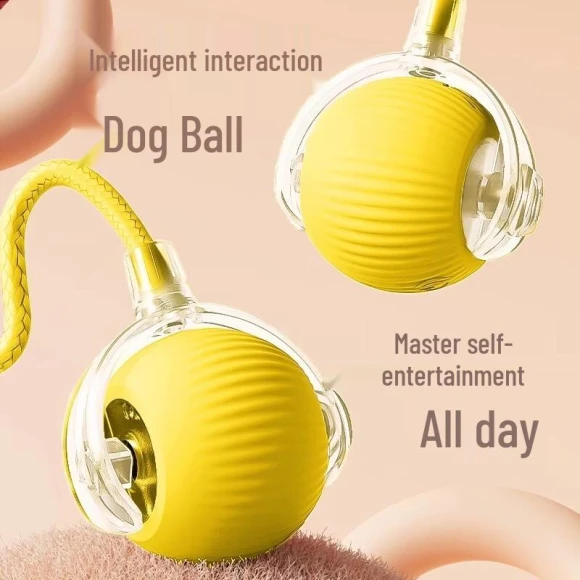 Smart Interactive Dog Toy Ball — Automatic Cat Toy, JDST online