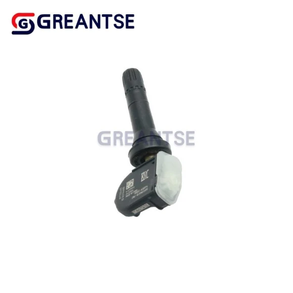 Tire Pressure Monitoring Sensor — TPMS