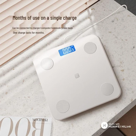 Smart Body Fat Scale — Smart Scale, ZengJie