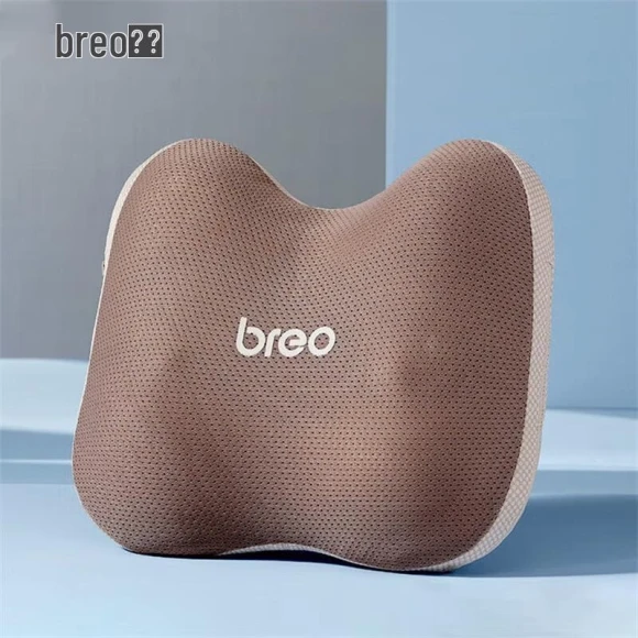 Wireless Multi-part Massage Cushion — Massage Gun, Breo